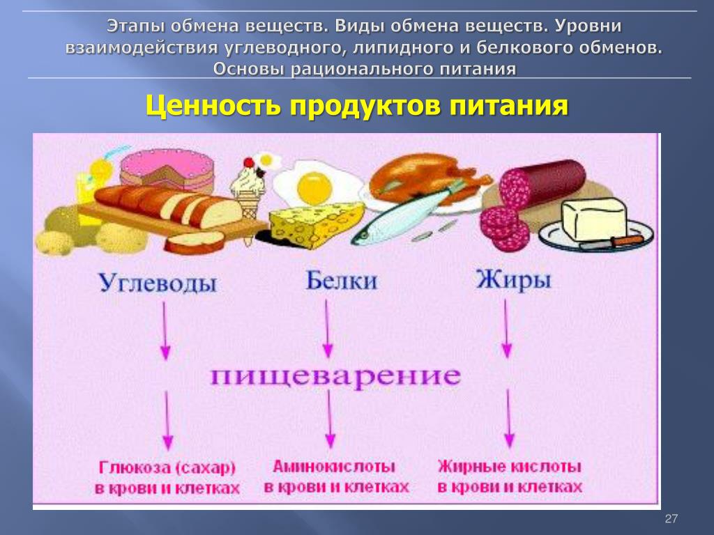 Пицца белки жиры углеводы состав