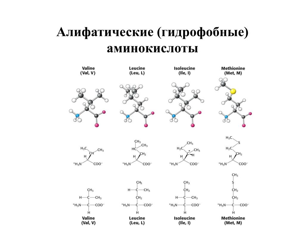 Характеристика гидрофобных связей. Алифатические гидрофобные аминокислоты. Классификация аминокислот алифатические ароматические. Алифатические аминокислоты биохимия.