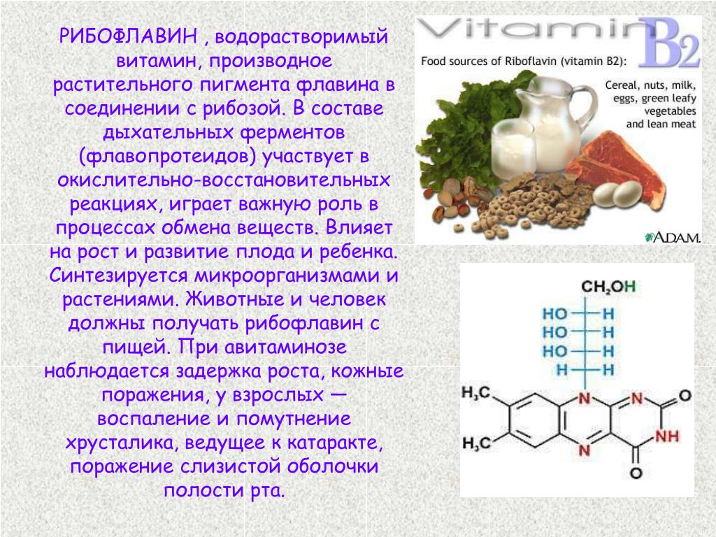 Витамин в2 картинки