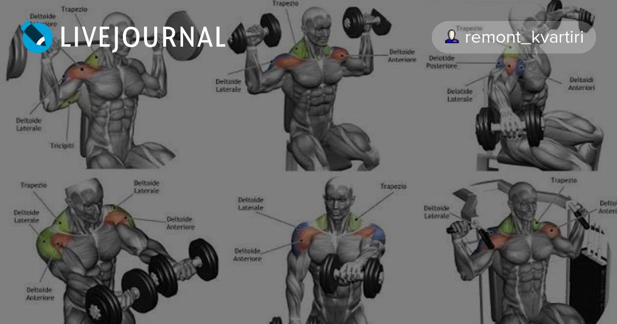 Лучшие упражнения на плечи в тренажерном зале для мужчин на рельеф с картинками