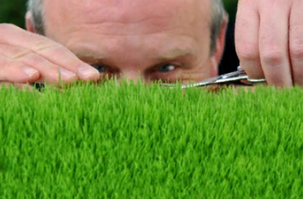 Мужчина занимается подстриганием травы. Смотрит, чтоб травинки были одинаковой высоты