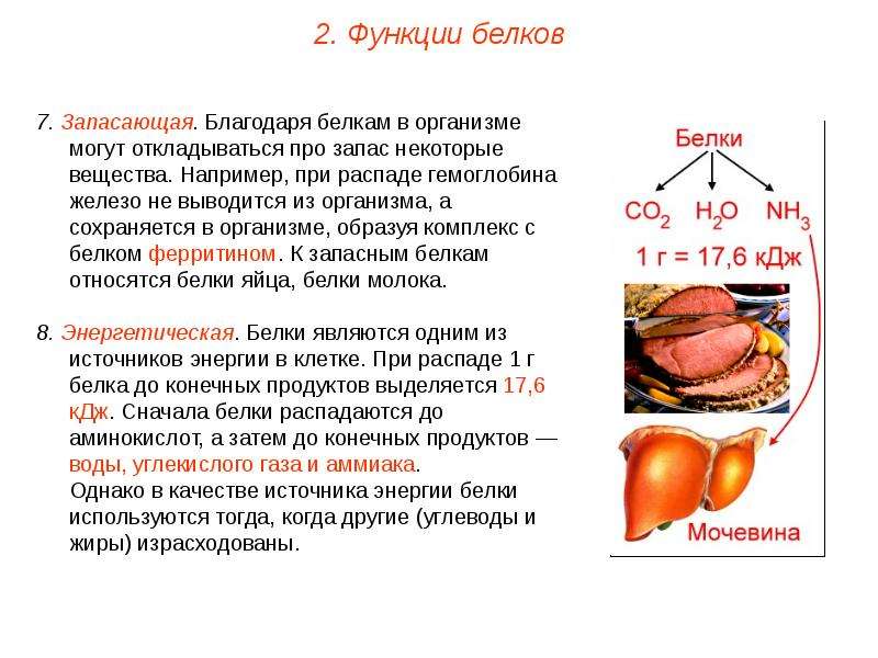 На диаграмме показано содержание питательных веществ в сухарях белки жиры углеводы прочее