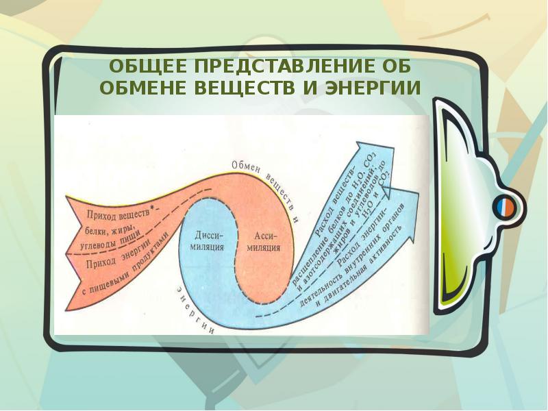 Обмен 20. Обмен веществ и энергии презентация. Обмен веществ и энергии картинки. Обмен веществ и энергии рисунок. Общее представление об обмене веществ.