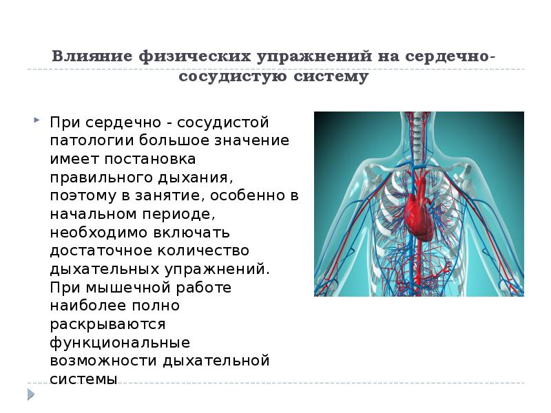 Назовите три физических тела находящихся на вашей парте