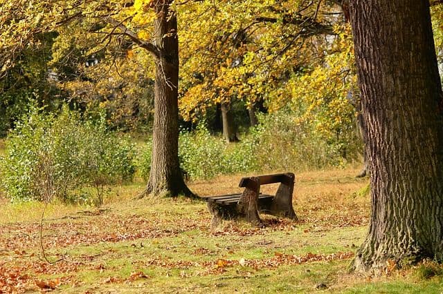 reflection bench