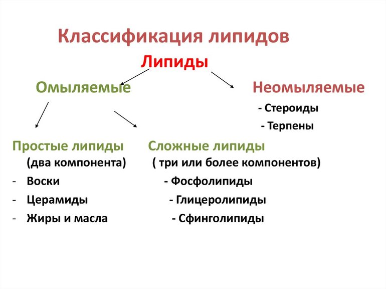 Классификация жиров