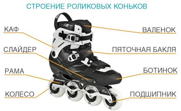 5-voprosov-o-rolikah.jpg