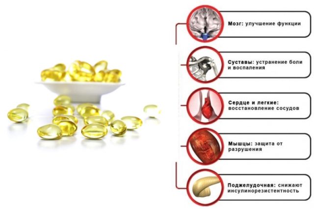 Польза рыбьего жира для организма