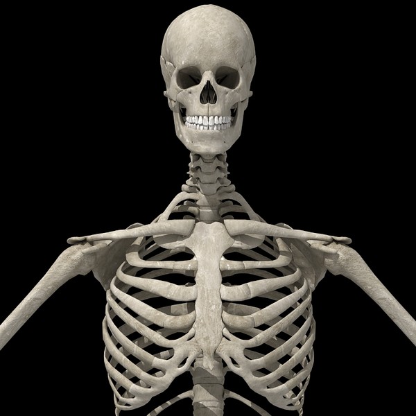 Skeleton Titties