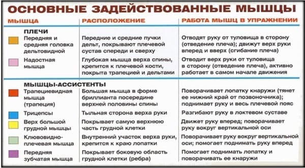 Задействованные мышцы в упражнении для плеч (дельт): жим Арнольда