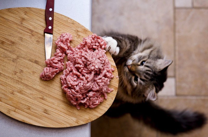 список продуктов на неделю