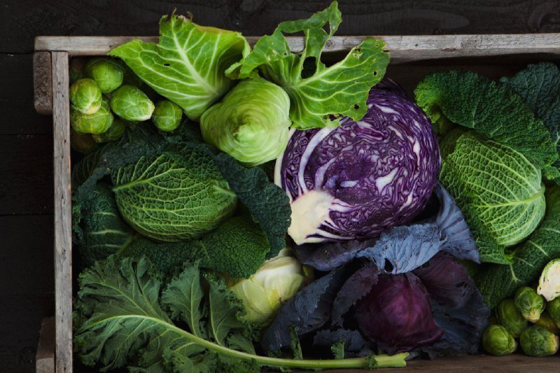 список продуктов на неделю