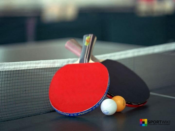 table tennis equipment