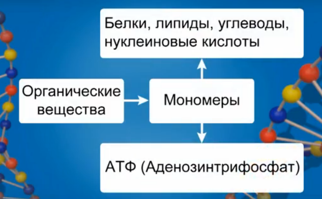 Распределение органических веществ