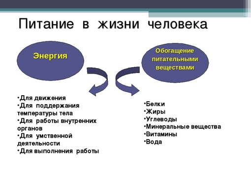 Образование человека здоровье человека закончи схему