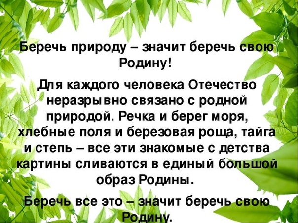 Проект берегите природу 6 класс по русскому языку