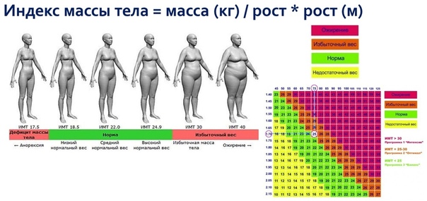 Генератор телосложения по весу