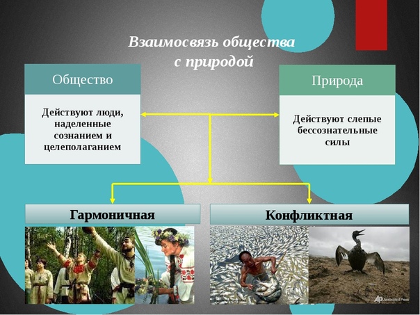 Составьте план текста совместное гармоничное развитие природы и общества есть