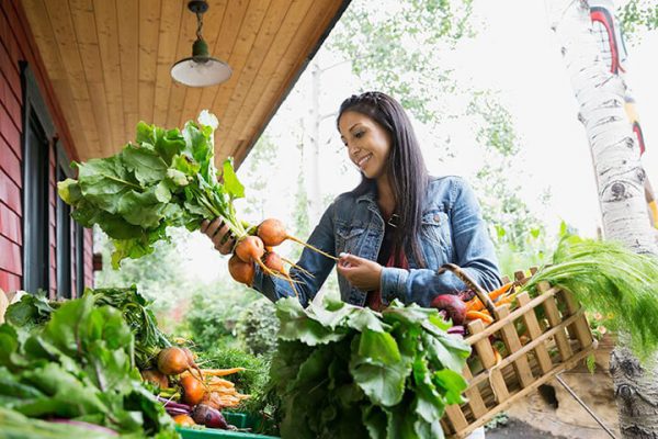 Как-экономить-на-продуктах-питания Kak-ekonomit-na-produktah-pitaniya