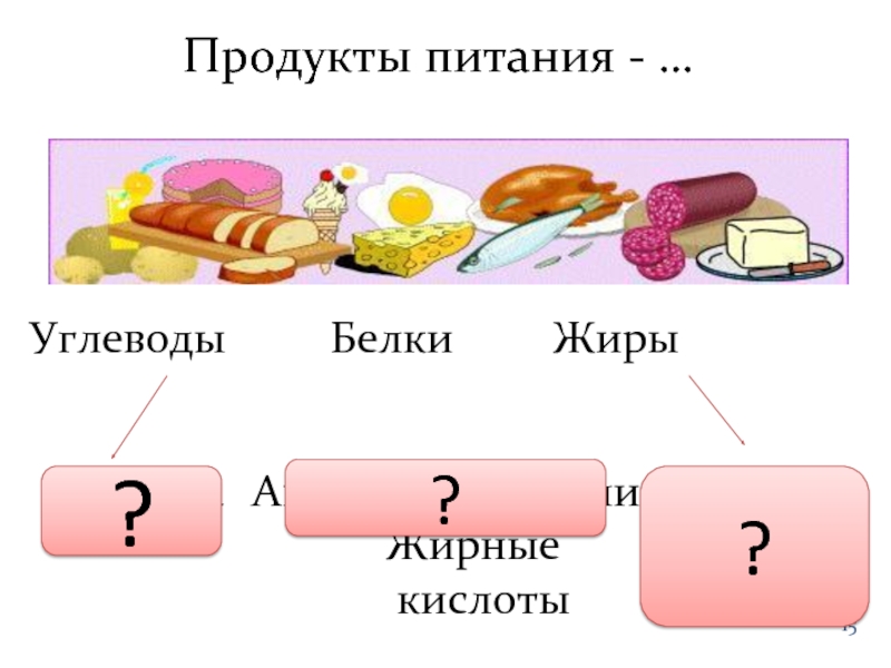 Презентация на тему жиры углеводы белки жиры