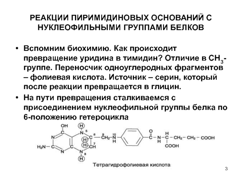 Нуклеиновые кислоты реакции. Пиримидин реакции. Нуклеофильные группы. Гидролиз пиримидиновых оснований.