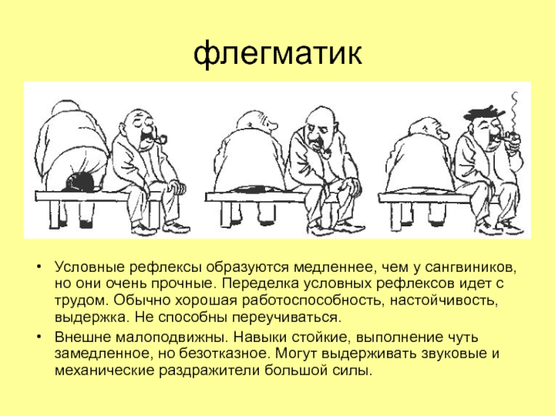 В профессиональном плане для подчиненного флегматика характерно