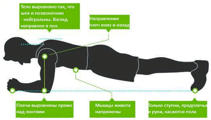 Как правильно делать планку на локтях