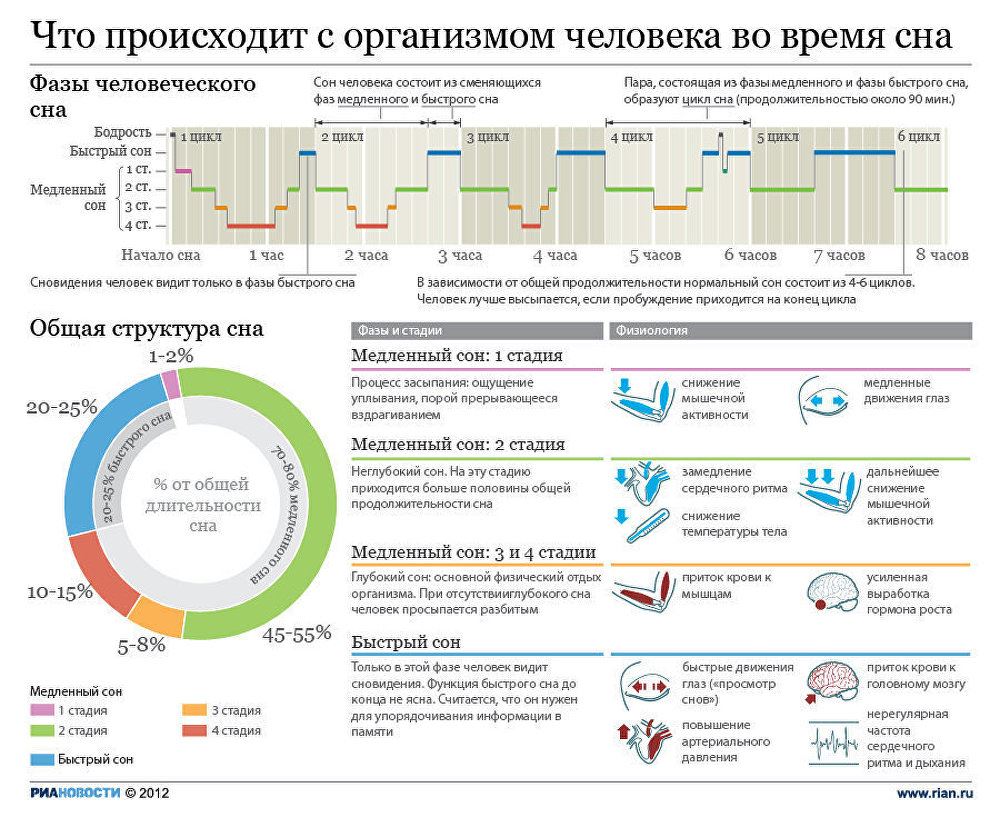 сколько нужно спать, фазы сна