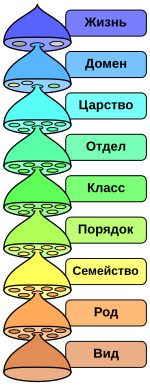 Characteristics of life-ru.svg