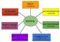 Characteristics of life-ru.svg