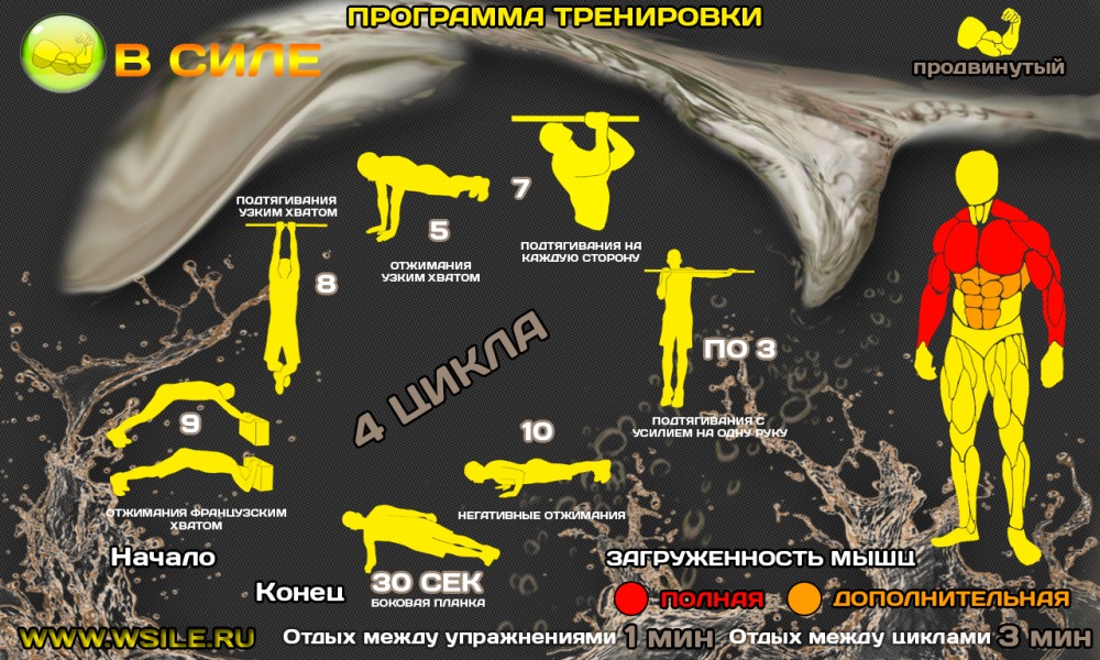 53 тренировочных программы для Начинающих, Продвинутых, Профессионалов и Мастеров 53 тренировочных программы для Начинающих, Продвинутых, Профессионалов и Мастеров