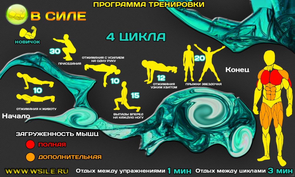 53 тренировочных программы для Начинающих, Продвинутых, Профессионалов и Мастеров 53 тренировочных программы для Начинающих, Продвинутых, Профессионалов и Мастеров