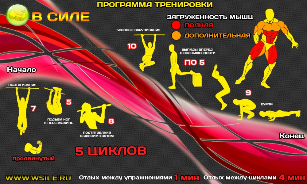 53 тренировочных программы для Начинающих, Продвинутых, Профессионалов и Мастеров 53 тренировочных программы для Начинающих, Продвинутых, Профессионалов и Мастеров