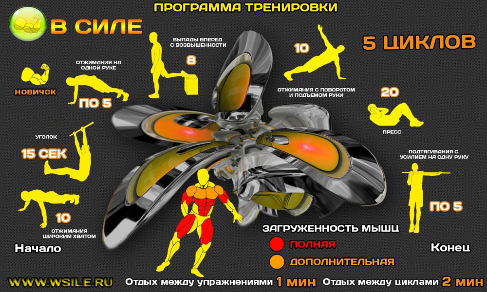 53 тренировочных программы для Начинающих, Продвинутых, Профессионалов и Мастеров 53 тренировочных программы для Начинающих, Продвинутых, Профессионалов и Мастеров