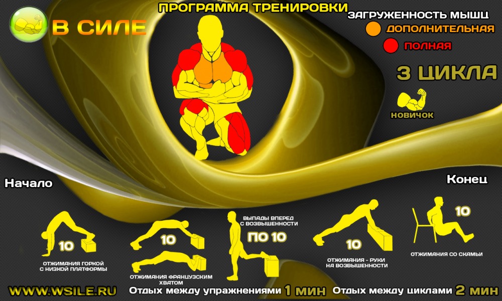53 тренировочных программы для Начинающих, Продвинутых, Профессионалов и Мастеров 53 тренировочных программы для Начинающих, Продвинутых, Профессионалов и Мастеров