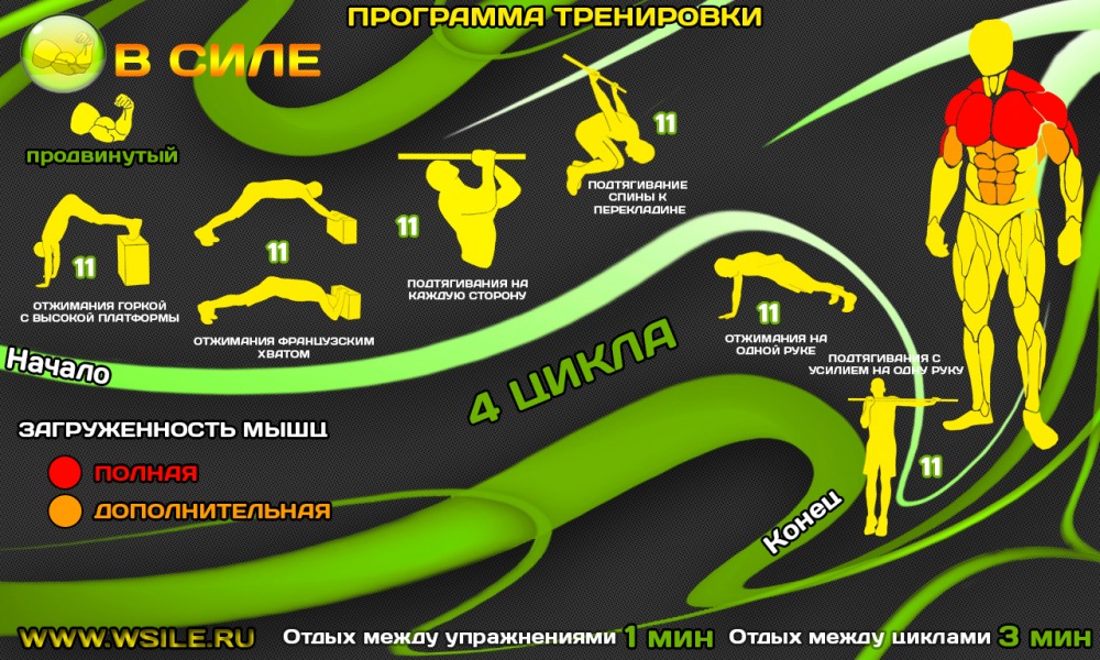 53 тренировочных программы для Начинающих, Продвинутых, Профессионалов и Мастеров 53 тренировочных программы для Начинающих, Продвинутых, Профессионалов и Мастеров