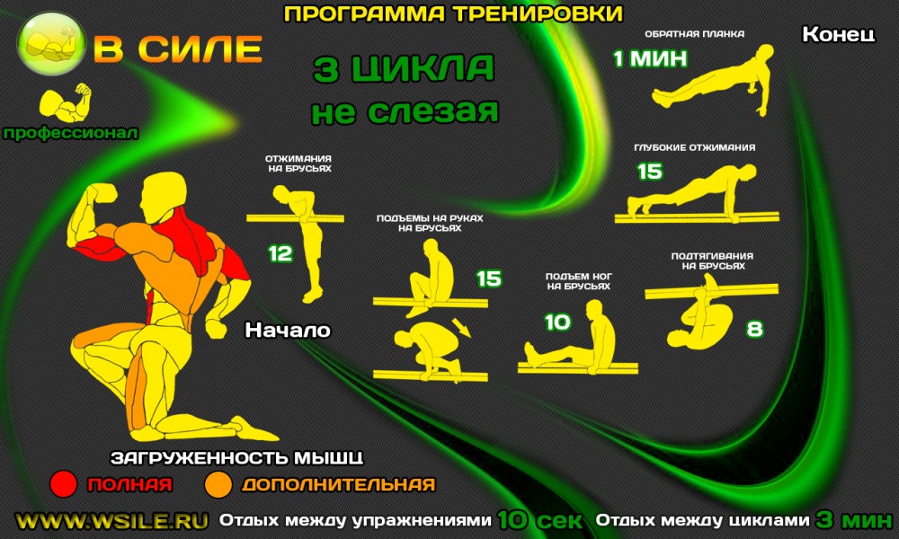 53 тренировочных программы для Начинающих, Продвинутых, Профессионалов и Мастеров 53 тренировочных программы для Начинающих, Продвинутых, Профессионалов и Мастеров