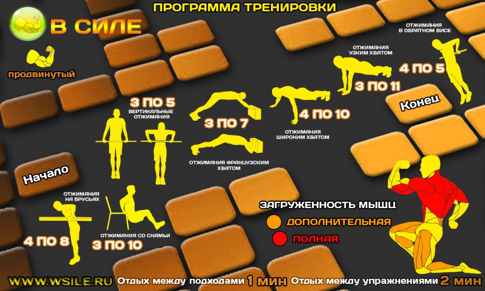 53 тренировочных программы для Начинающих, Продвинутых, Профессионалов и Мастеров 53 тренировочных программы для Начинающих, Продвинутых, Профессионалов и Мастеров