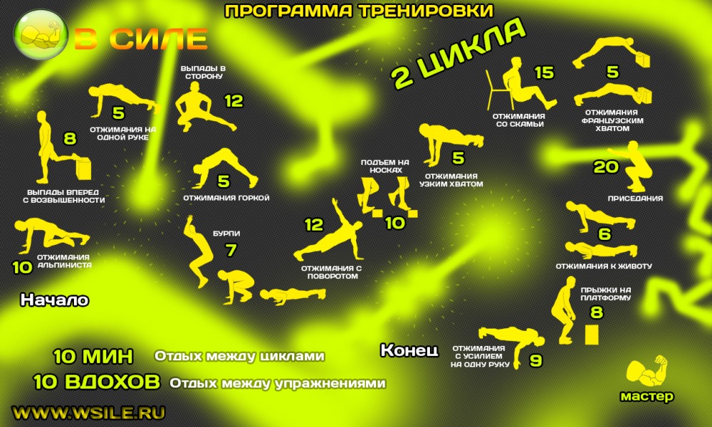 53 тренировочных программы для Начинающих, Продвинутых, Профессионалов и Мастеров 53 тренировочных программы для Начинающих, Продвинутых, Профессионалов и Мастеров