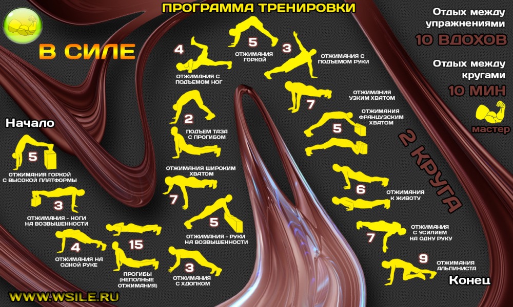 53 тренировочных программы для Начинающих, Продвинутых, Профессионалов и Мастеров 53 тренировочных программы для Начинающих, Продвинутых, Профессионалов и Мастеров