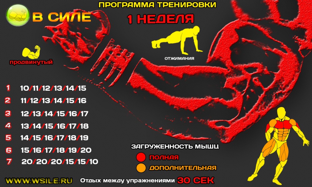 53 тренировочных программы для Начинающих, Продвинутых, Профессионалов и Мастеров 53 тренировочных программы для Начинающих, Продвинутых, Профессионалов и Мастеров