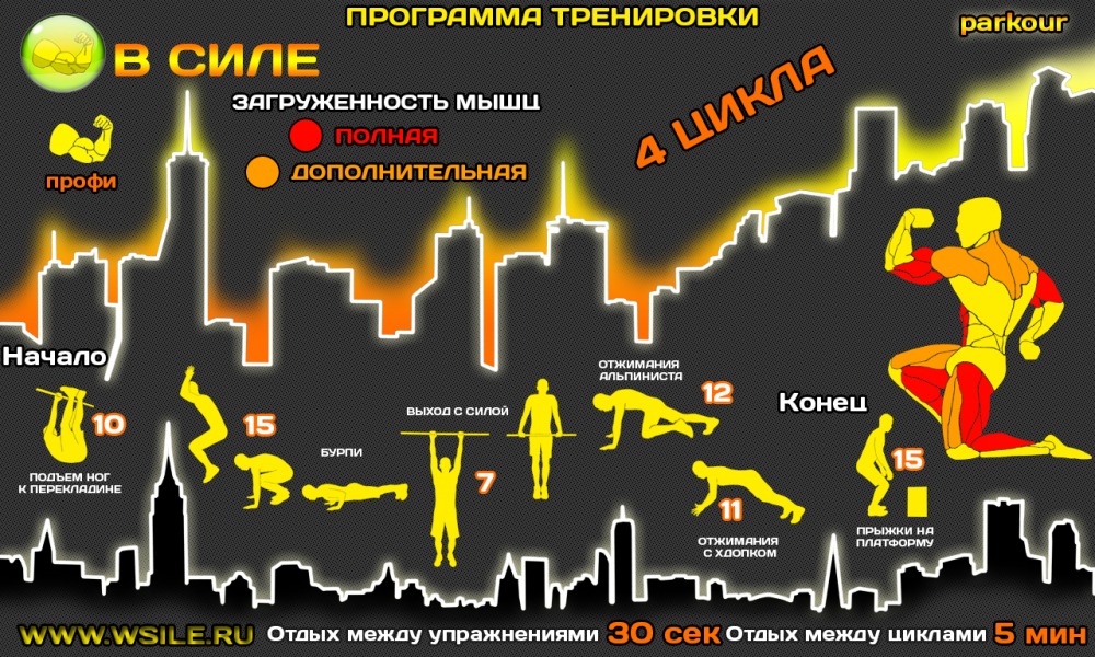 53 тренировочных программы для Начинающих, Продвинутых, Профессионалов и Мастеров 53 тренировочных программы для Начинающих, Продвинутых, Профессионалов и Мастеров