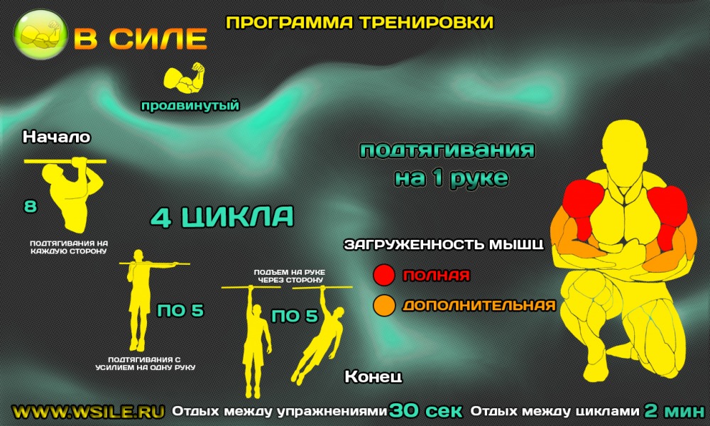 53 тренировочных программы для Начинающих, Продвинутых, Профессионалов и Мастеров 53 тренировочных программы для Начинающих, Продвинутых, Профессионалов и Мастеров