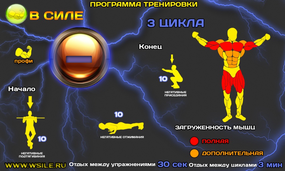 53 тренировочных программы для Начинающих, Продвинутых, Профессионалов и Мастеров 53 тренировочных программы для Начинающих, Продвинутых, Профессионалов и Мастеров