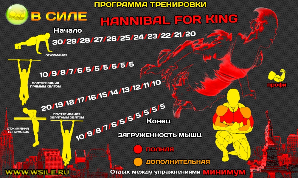 53 тренировочных программы для Начинающих, Продвинутых, Профессионалов и Мастеров 53 тренировочных программы для Начинающих, Продвинутых, Профессионалов и Мастеров