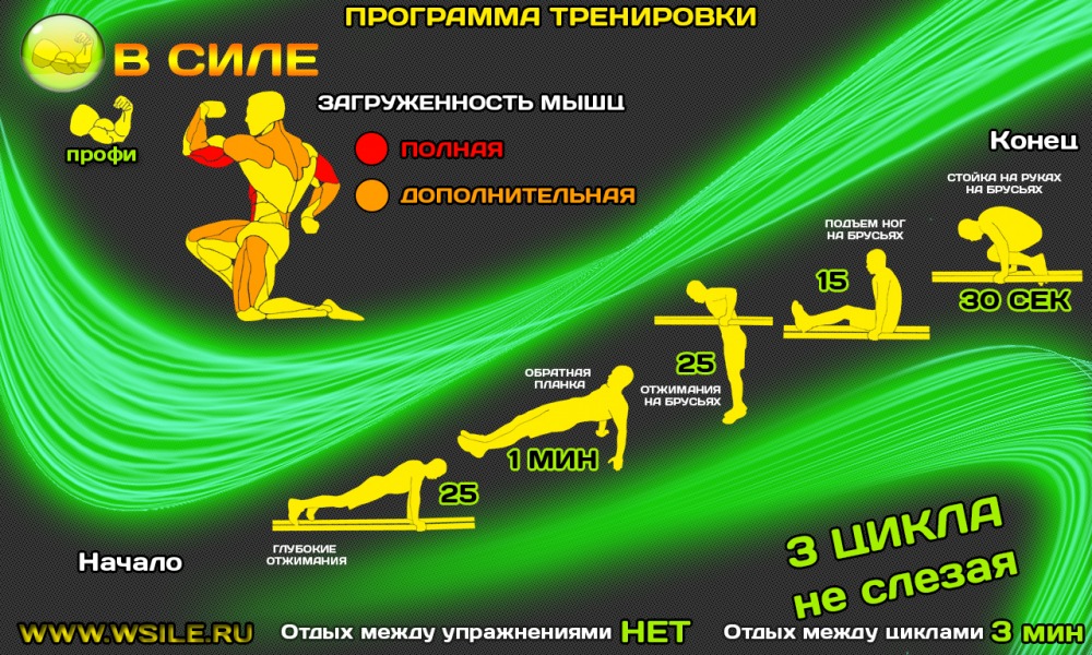 53 тренировочных программы для Начинающих, Продвинутых, Профессионалов и Мастеров 53 тренировочных программы для Начинающих, Продвинутых, Профессионалов и Мастеров