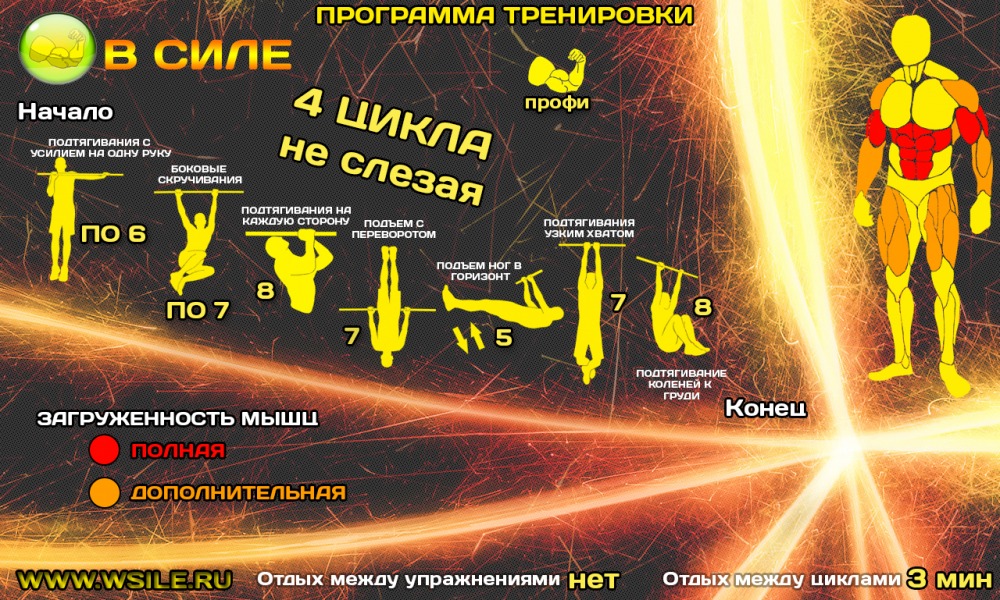 53 тренировочных программы для Начинающих, Продвинутых, Профессионалов и Мастеров 53 тренировочных программы для Начинающих, Продвинутых, Профессионалов и Мастеров