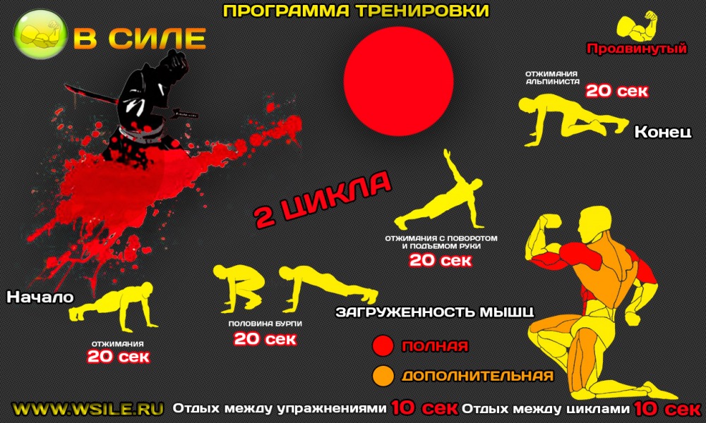 53 тренировочных программы для Начинающих, Продвинутых, Профессионалов и Мастеров 53 тренировочных программы для Начинающих, Продвинутых, Профессионалов и Мастеров