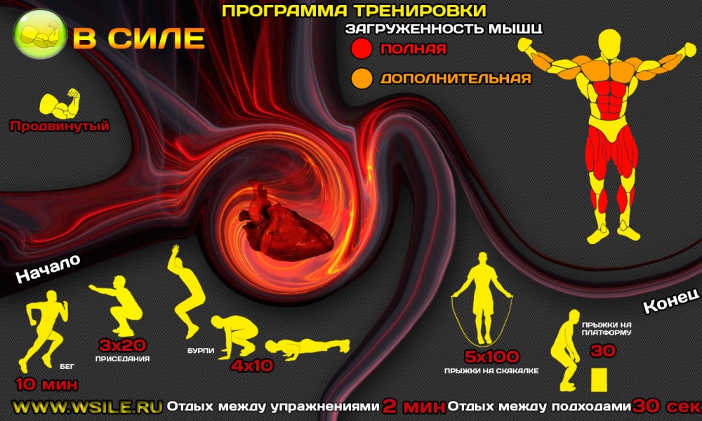 53 тренировочных программы для Начинающих, Продвинутых, Профессионалов и Мастеров 53 тренировочных программы для Начинающих, Продвинутых, Профессионалов и Мастеров