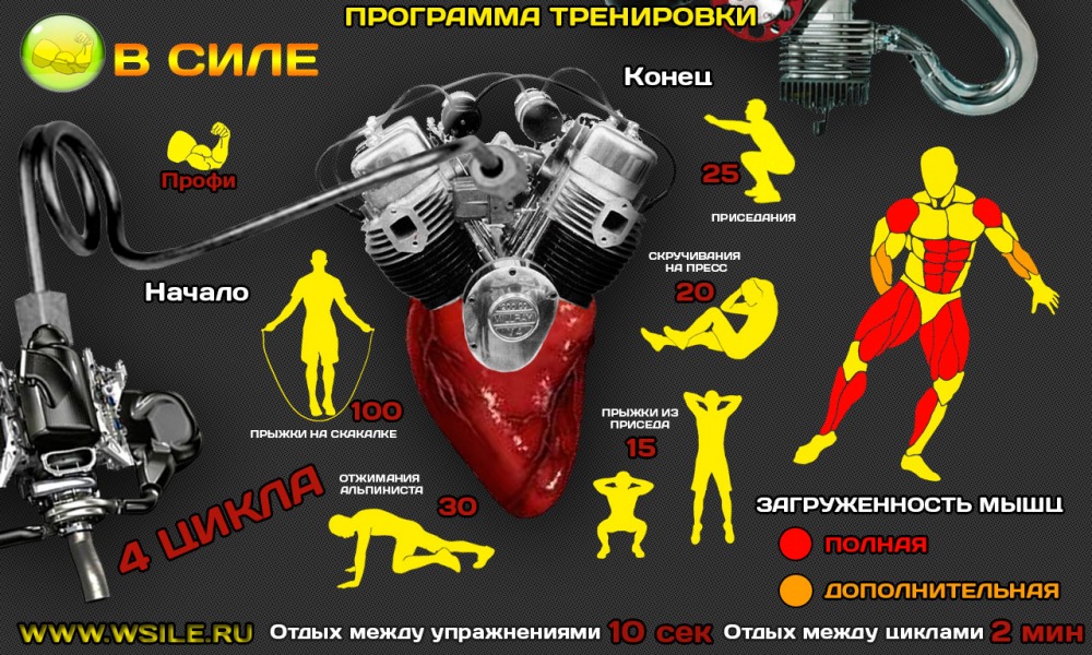 53 тренировочных программы для Начинающих, Продвинутых, Профессионалов и Мастеров 53 тренировочных программы для Начинающих, Продвинутых, Профессионалов и Мастеров